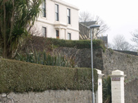 Rosemount House with Palm Trees! - Click to see larger image!