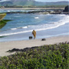 Carraig Cottage occupies a wonderful location at Machrihanish - Click here for more detail